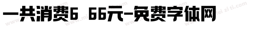 一共消费6 66元字体转换